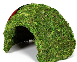 Repti-Zoo Natural Mossy Dome - medium