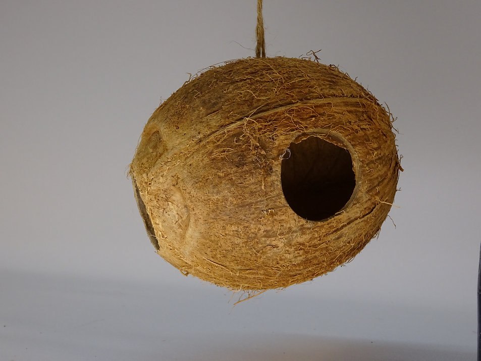 Kokosnöt med 3 hål
