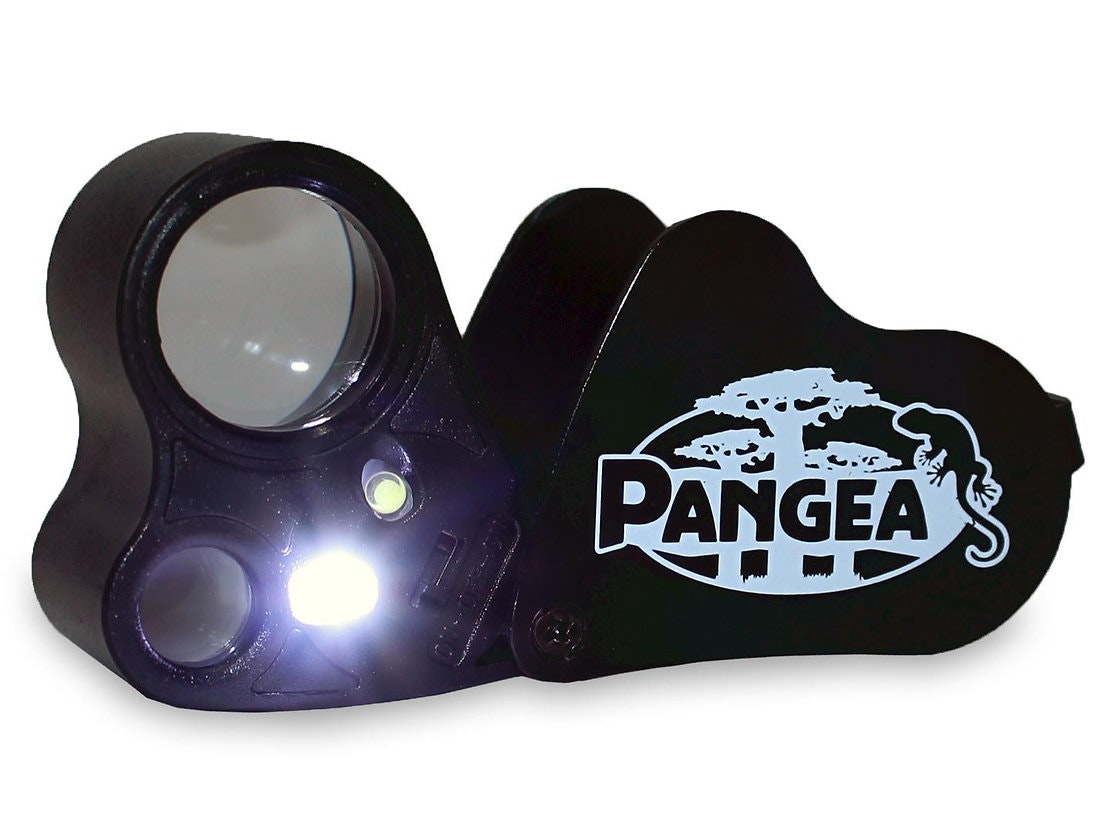 30x-60x Pangea Gecko Sexing Loupe