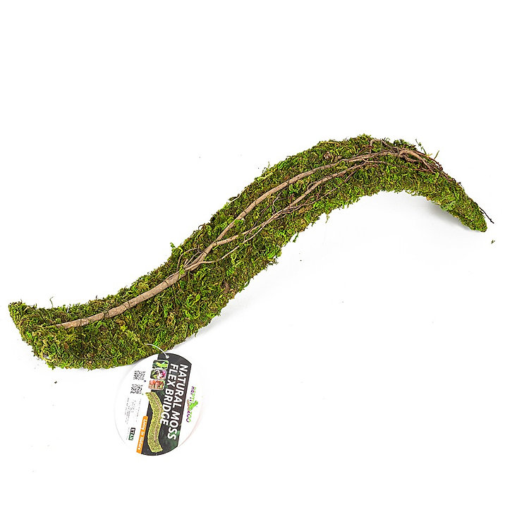 Natural Mossy Flex