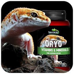 Terrario ORYO för leopardgecko 150g