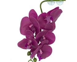 Pangea Hängande Orkidé Lila
