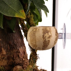 Terrario HangBowl Natural - hängskål/foderstation med sugkopp