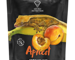 Gecko Nutrition Apricot