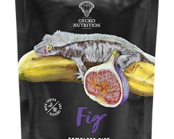 Gecko Nutrition Fig