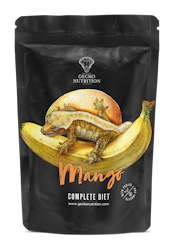Gecko Nutrition Mango