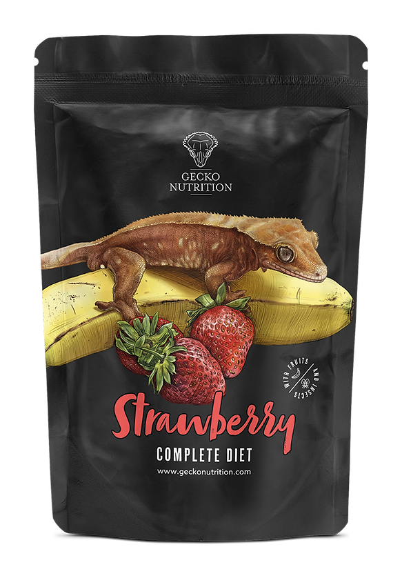 Gecko Nutrition Strawberry