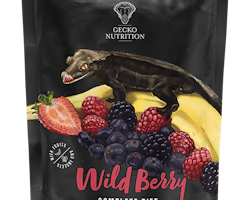 Gecko Nutrition Wildberry