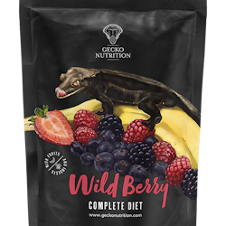 Gecko Nutrition Wildberry