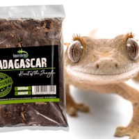 Madagaskar