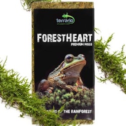 Terrario ForestHeart Sphagnum Moss