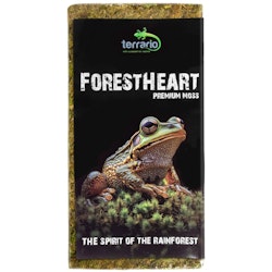 Terrario ForestHeart Sphagnum Moss
