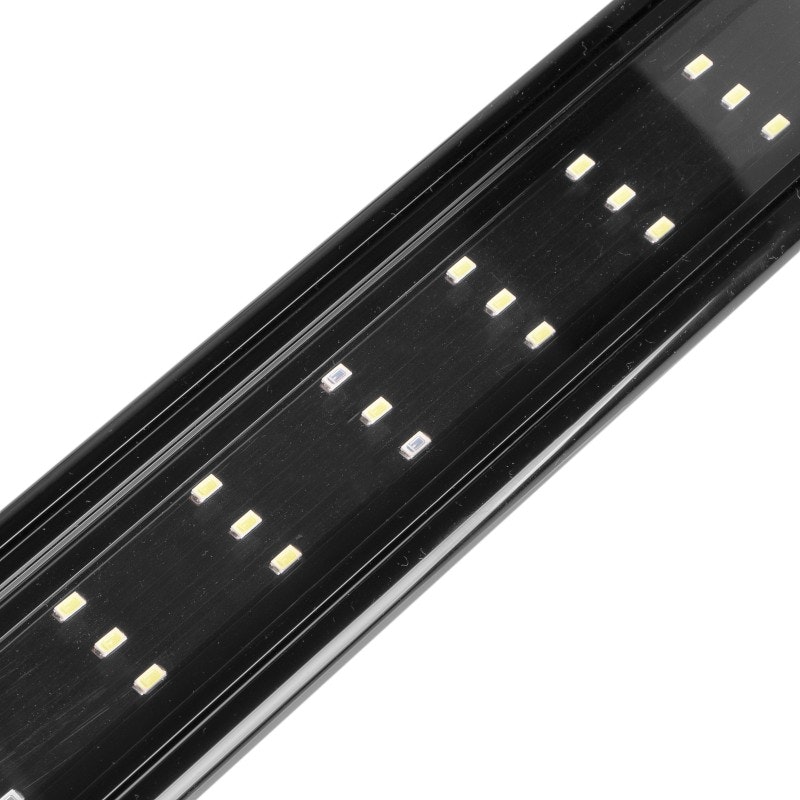Terrario Reptoray 24w