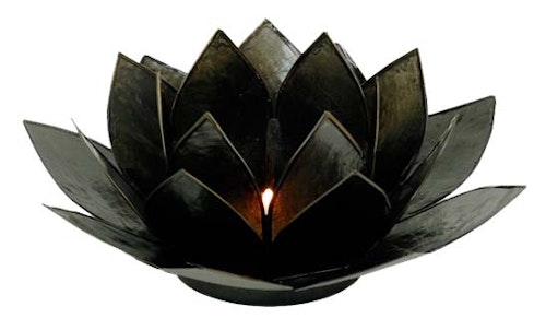 Lotuslykta Svart