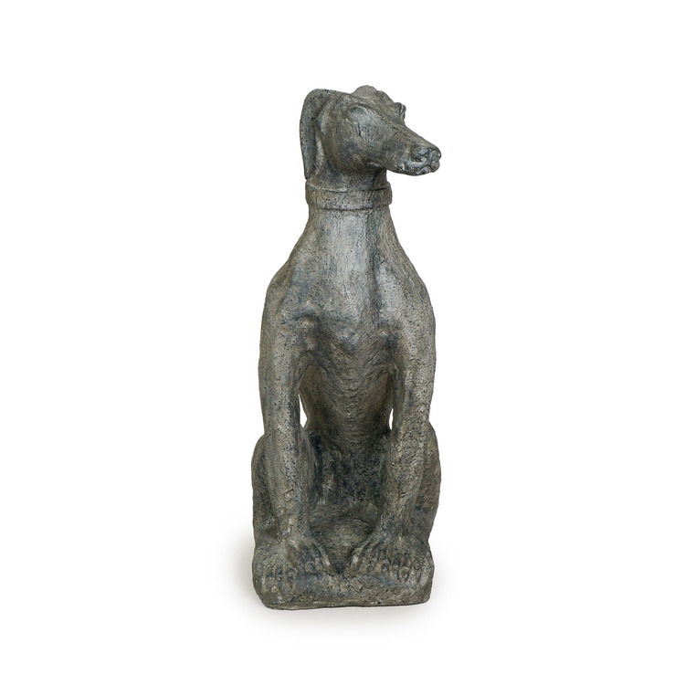 staty av greyhound hund