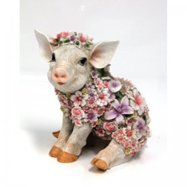 Blomstergris sidder