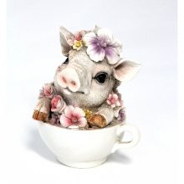 Blomst Gris Kop