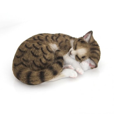 kat sover