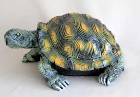 skildpadde lille