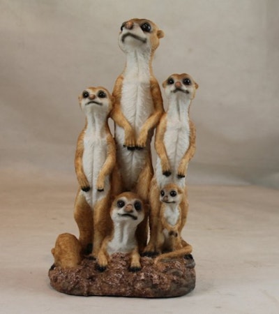 Meerkat-familien