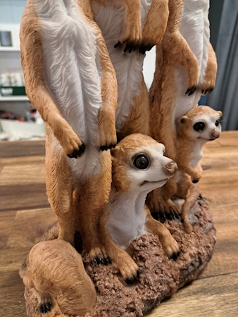 Meerkat-familien