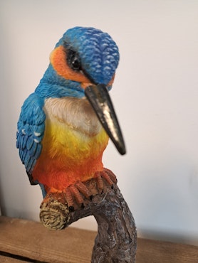 Isfugl