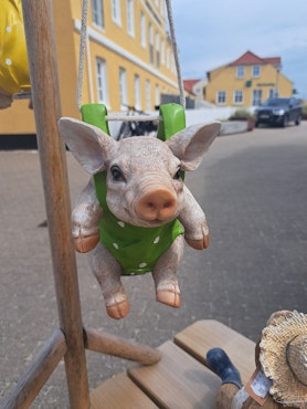 Gris med grøn rygsæk