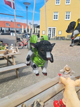 Ko med grøn rygsæk