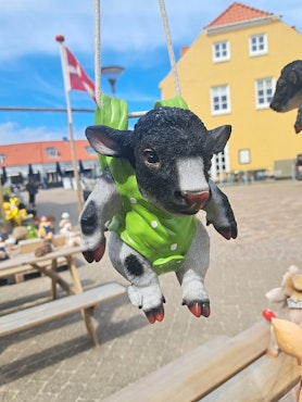 Ko med grøn rygsæk