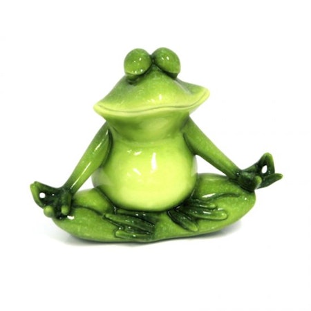Yoga frø
