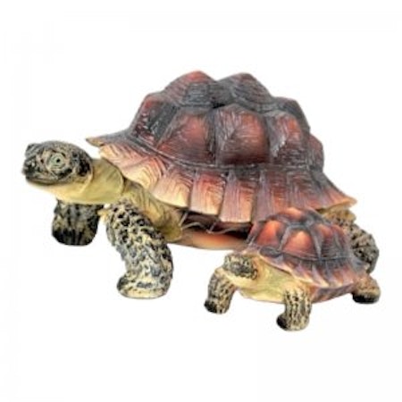 Skildpadde sæt af 2