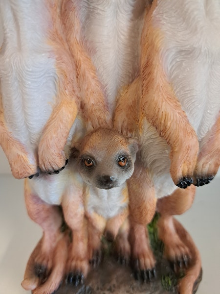 Meerkat familie mini