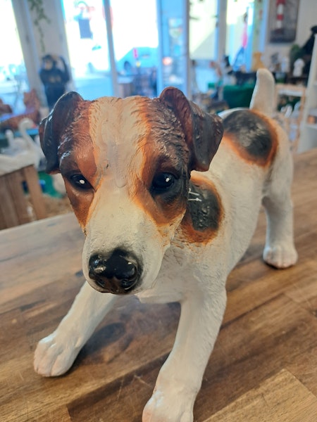 Jack Russell