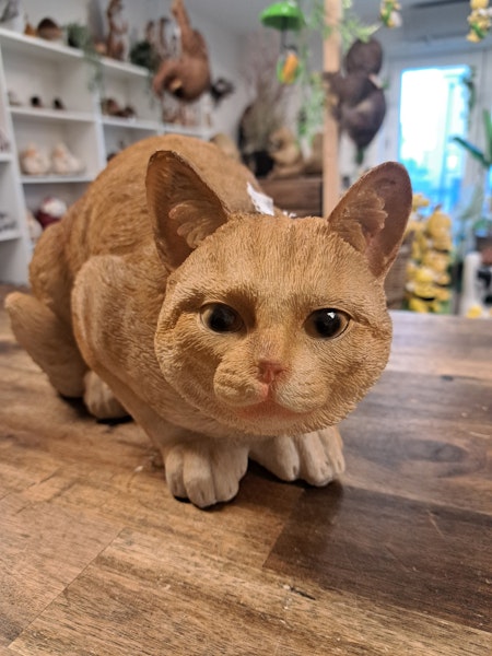 Kat liggende, brunrød