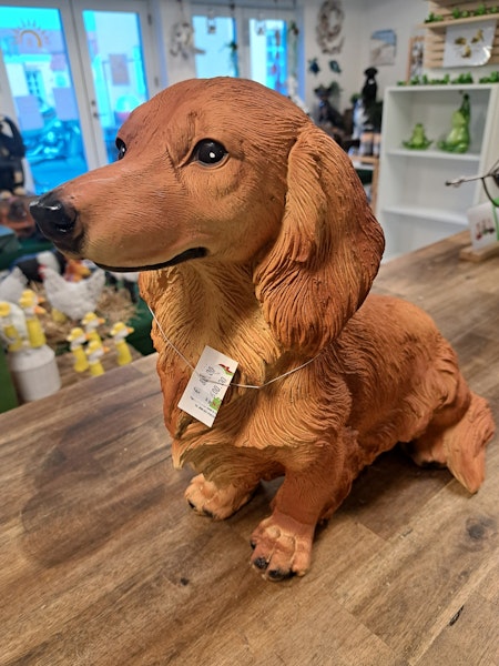 Gravhund sidder