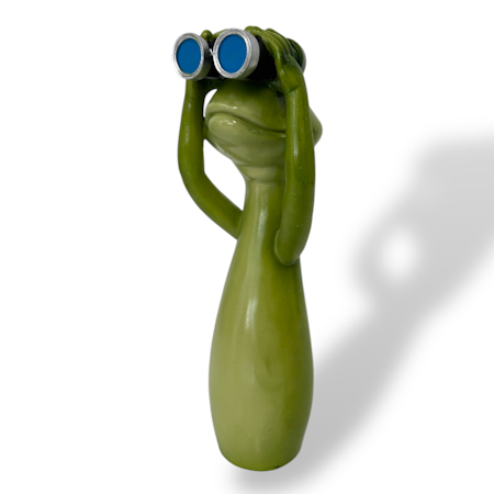 Frøkikkert, stik