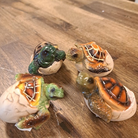 Skildpadder Sæt 4 stk.