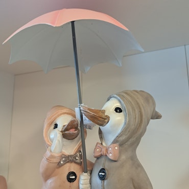 Ænder med paraply