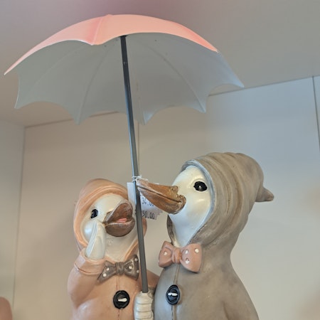 Ænder med paraply