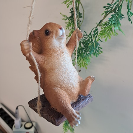 Egern på gynge