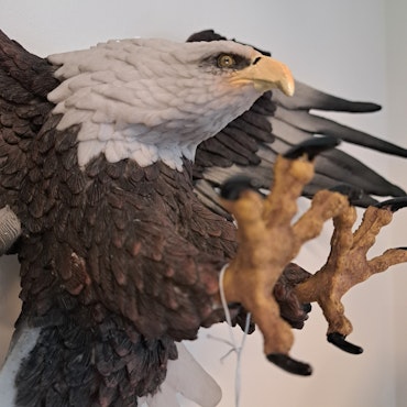 Fliegende ørn