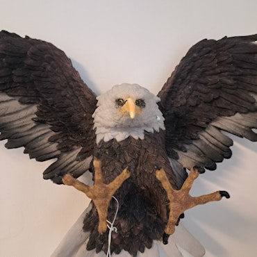 Fliegende ørn
