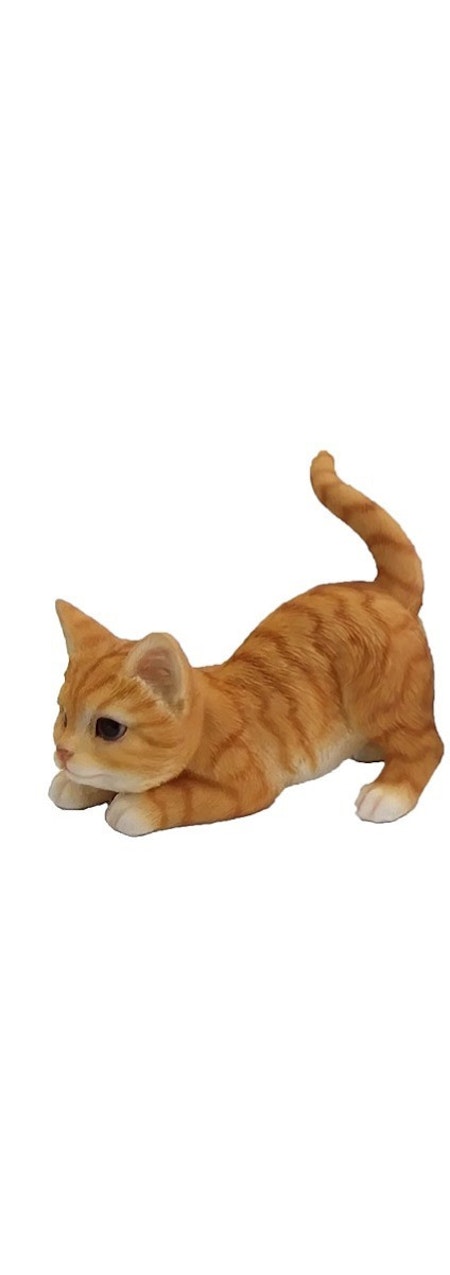 Legende kat rød