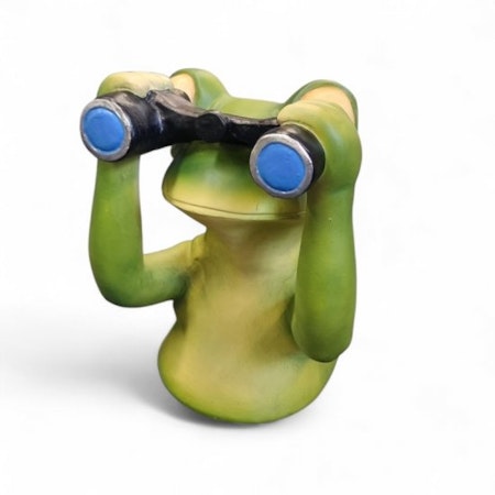 Frø spænder