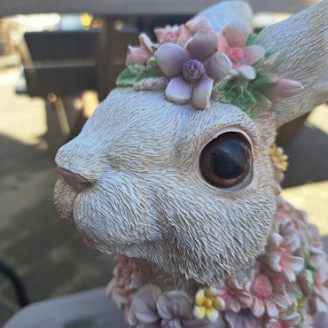 Blomsterkanin