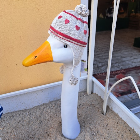 Gåsehoved med pomponhue