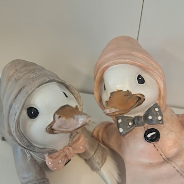 Enten par i sæt