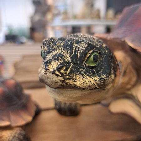 Skildpadde sæt af 2