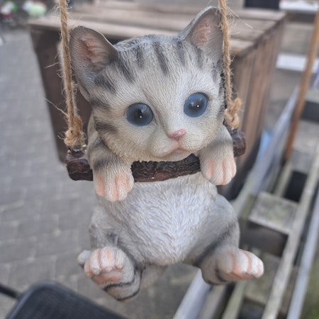 Hængende kat grå