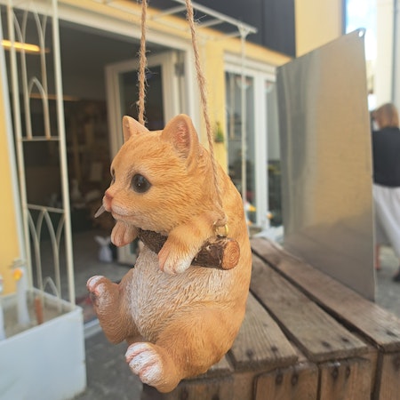 Hængende kat rød